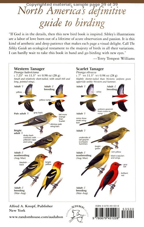 Click for larger picture